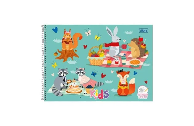 CADERNO DE DESENHO CAPA DURA 96 FOLHAS ZOOM+ FEMININO 200X275MM - UNIDADE | TILIBRA