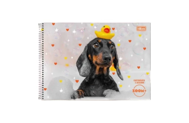 CADERNO DE DESENHO CAPA DURA 96 FOLHAS ZOOM+ MASCULINO 200X275MM - UNIDADE | TILIBRA