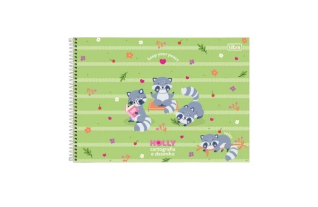 CADERNO DE DESENHO CAPA DURA 96 FOLHAS MILIMETRADO HOLLY 200X275MM - UNIDADE | TILIBRA