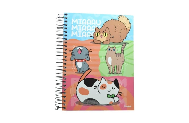CADERNO UNIVERSITARIO 20 MATERIAS CD PET FUN CREDEAL 278468