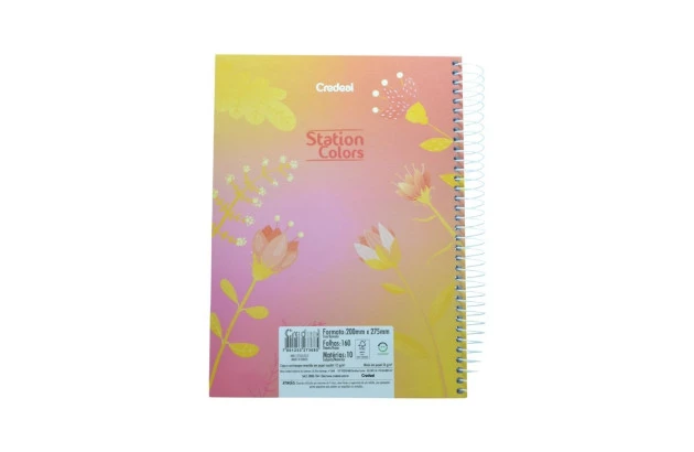 CADERNO UNIVERSITARIO 10 MATERIAS CD STATION CREDEAL  273685