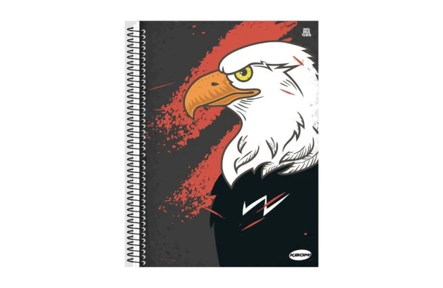 CADERNO CAPA DURA 15 MATERIAS 300 FOLHAS KBOM MASCULINO ANIMATIVA