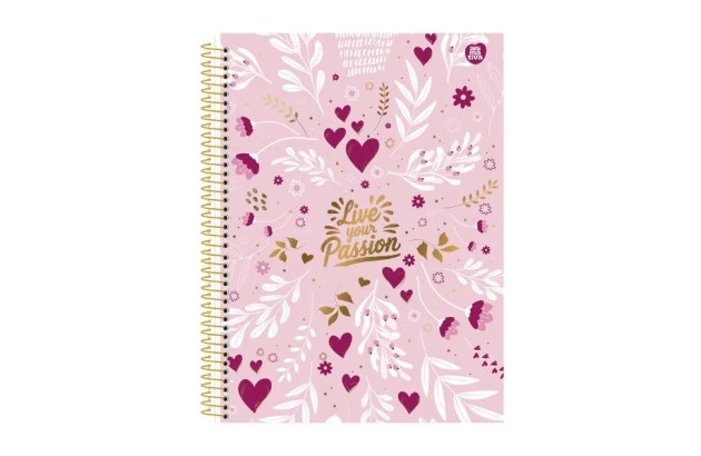 CADERNO CAPA DURA 10 MATERIAS 160 FOLHAS PASSION ANIMATIVA