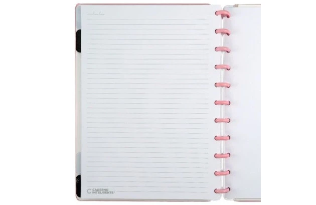 CADERNO INTELIGENTE GRANDE FAIRYTALE CIGD4105