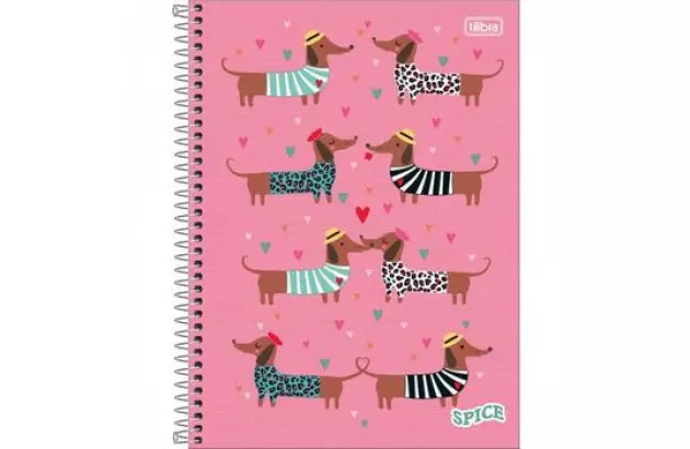 CADERNO UNIVERSITÁRIO CAPA DURA 16 MATÉRIA 256 FOLHAS 200X275 SPICE FEMININO SORTIDO TILIBRA