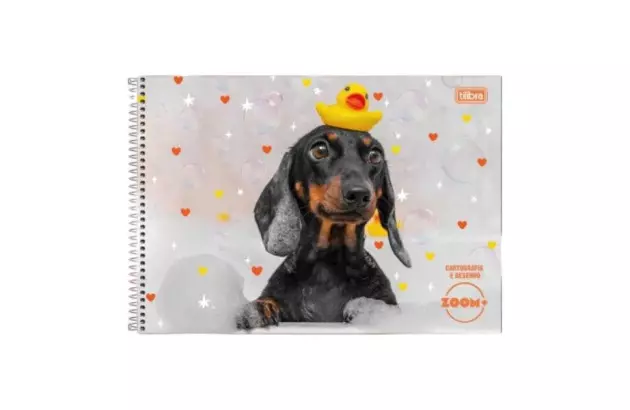 CADERNO DE DESENHO CAPA DURA 96 FOLHAS MILIMETRADO ZOOM+ FEMININO 200X275MM - UNIDADE | TILIBRA