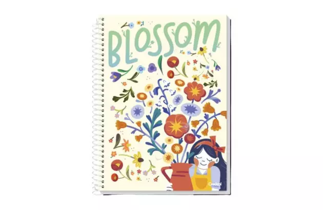CADERNO CAPA DURA 10 MATERIAS 200 FOLHAS MY COLLECTION FEMININO CREDEAL