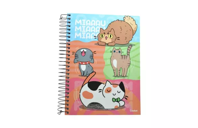 CADERNO UNIVERSITARIO 20 MATERIAS CD PET FUN CREDEAL 278468