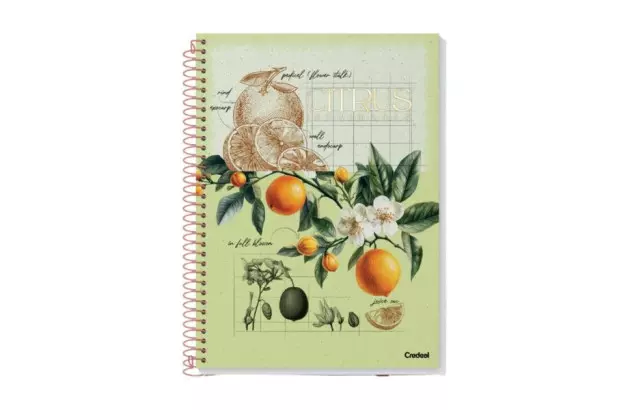 CADERNO CAPA DURA COLEGIAL 10 MATERIAS 160 FOLHAS BOTANICAL CREDEAL