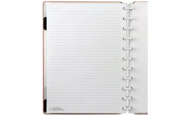 CADERNO INTELIGENTE GRANDE ROSE PASTEL CIGD4081