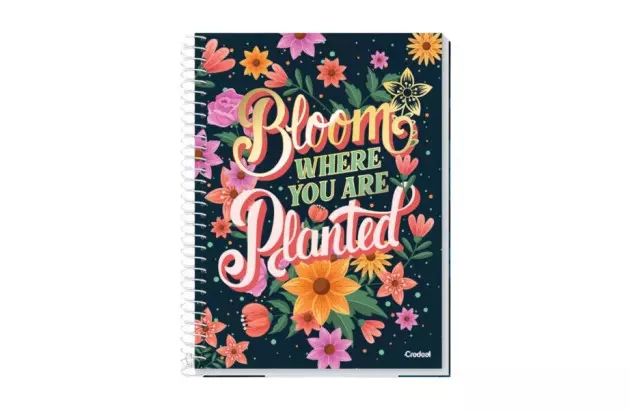 CADERNO UNIVERSITÁRIO 12 MATÉRIAS 168 FOLHAS CAPA DURA COMFY FEMININO CREDEAL