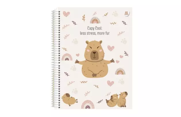 CADERNO CAPA DURA 20 MATERIAS 320 FOLHAS CRISTALES ANIMATIVA