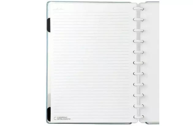 CADERNO INTELIGENTE GRANDE ROSE PASTEL CIGD4081
