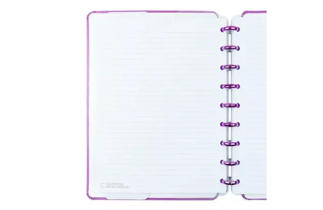 CADERNO INTELIGENTE GRANDE ROSE KEY BY ISABELA AKKARI  CIGD4366