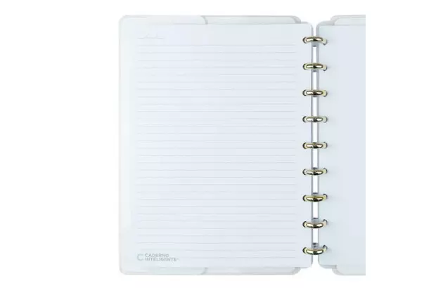 CADERNO INTELIGENTE GRANDE MOCCHA CIGD4359