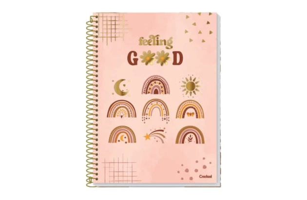CADERNO CAPA DURA ARCO IRIS 1 MATERIA 80 FOLHAS CREDEAL