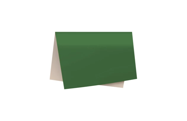 PAPEL CARTÃO FOSCO VERDE BANDEIRA 48X60 CM - FOLHA