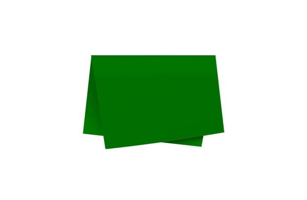 FOLHA DE PAPEL COLOR SET LISO VERDE BANDEIRA DUPLA FACE 48X66CM