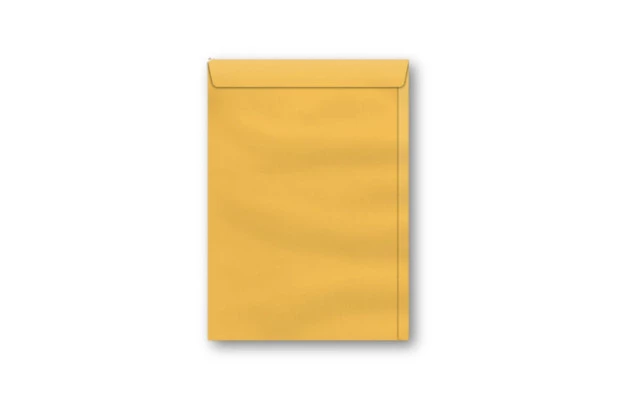 ENVELOPE SACO KRAFT OURO 260X360 80G SCRITY - UNIDADE