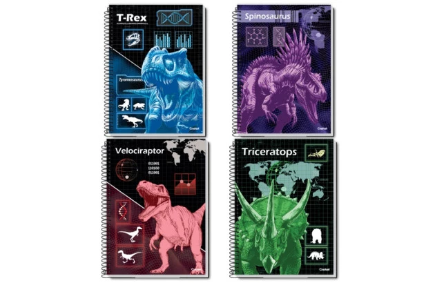 CADERNO CAPA DURA SUPERDINO 1 MATERIA CREDEAL
