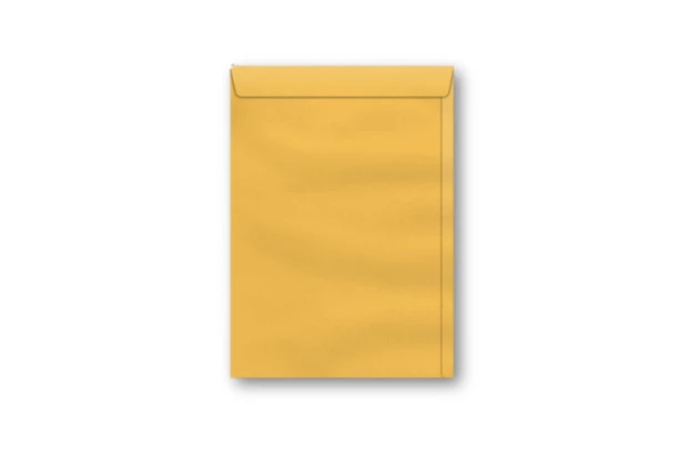 ENVELOPE SACO KRAFT OURO 110X170 80G SCRITY - UNIDADE