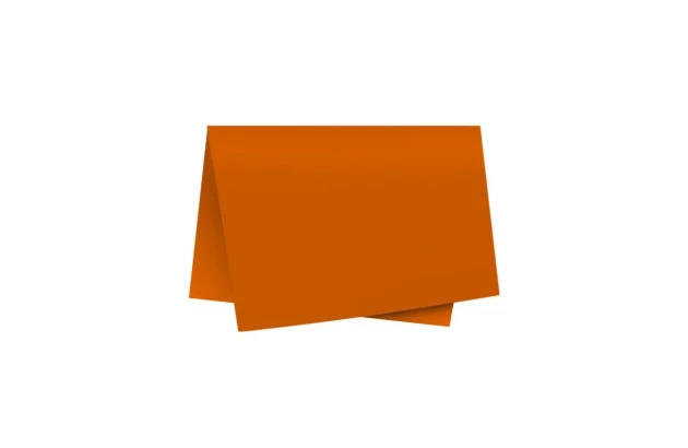 FOLHA DE PAPEL COLOR SET LISO MARROM DUPLA FACE 48X66CM