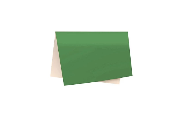 PAPEL CARTÃO FOSCO VERDE BANDEIRA 48X60 CM - FOLHA