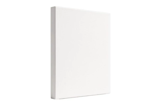 TELA DE PINTURA PAINEL 80X100 PRIMA