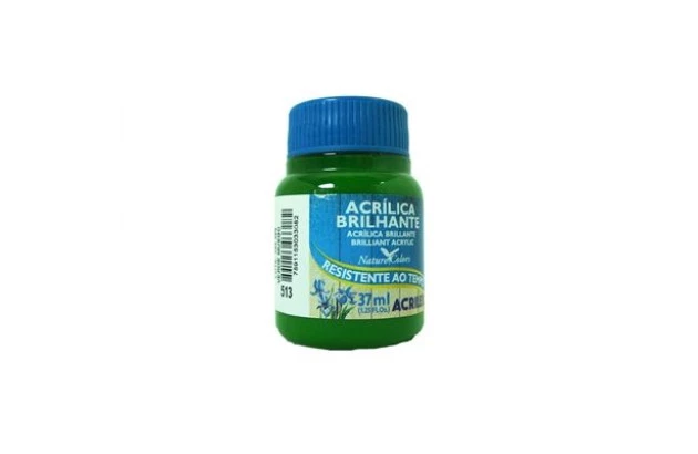 TINTA ACRILICA BRILHANTE ARTESANATO 37ML VERDE MUSGO 513 - UNIDADE | ACRILEX 3340