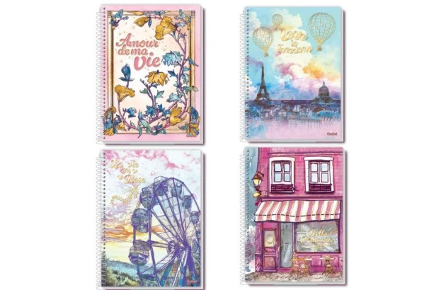 CADERNO CAPA BELLA 10 MATERIAS CREDEAL