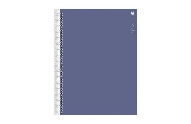 CADERNO CAPA DURA 1 MATERIAS 80 FOLHAS COLORS LILAS ANIMATIVA