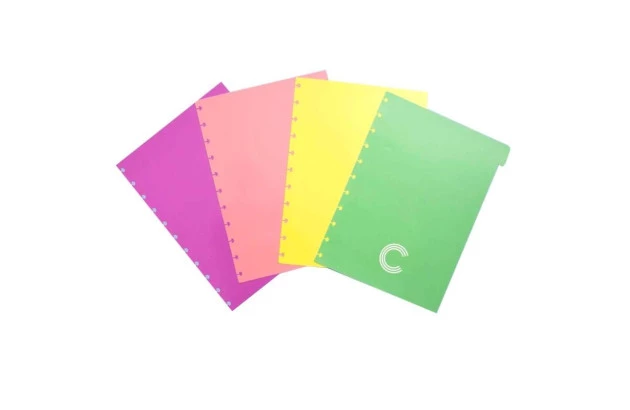 DIVISORIA CADERNO INTELIGENTE GRANDE PASTEL PCT/ 4 DIVISORIAS