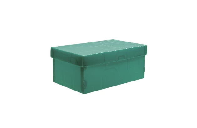 CAIXA ORGANIZADORA MINI SAPATO VERDE 2169T DELLO