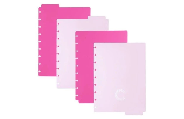 DIVISORIA CADERNO INTELIGENTE GRANDE DUO PINK