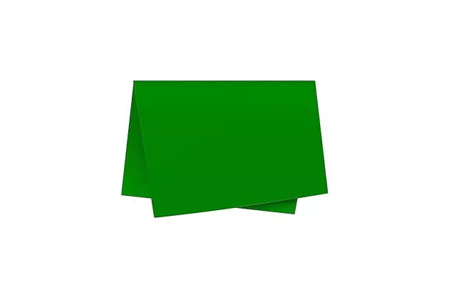 FOLHA DE PAPEL COLOR SET LISO VERDE BANDEIRA DUPLA FACE 48X66CM