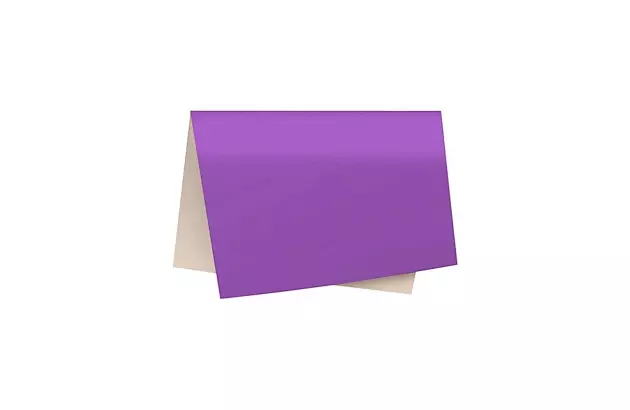 PAPEL CARTÃO FOSCO VIOLETA 48X60 CM - FOLHA