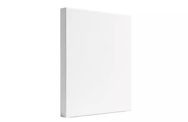 TELA DE PINTURA PAINEL 80X100 PRIMA