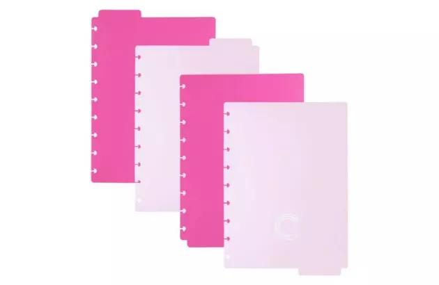 DIVISORIA CADERNO INTELIGENTE GRANDE DUO PINK