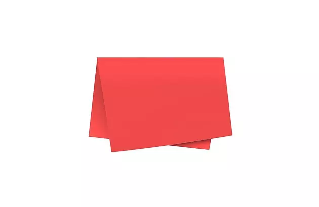 FOLHA DE PAPEL COLOR SET LISO VERDE BANDEIRA DUPLA FACE 48X66CM