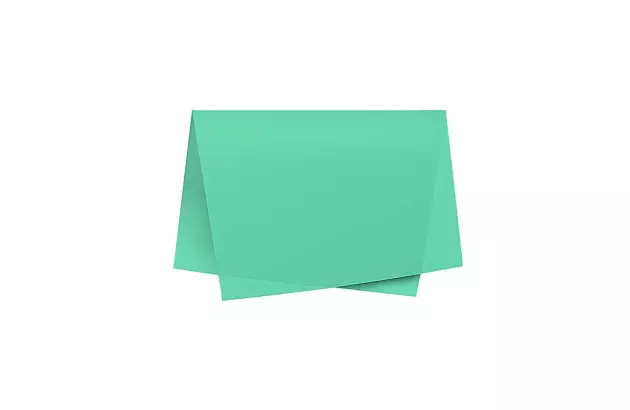 FOLHA DE PAPEL COLOR SET LISO LARANJA DUPLA FACE 48X66CM