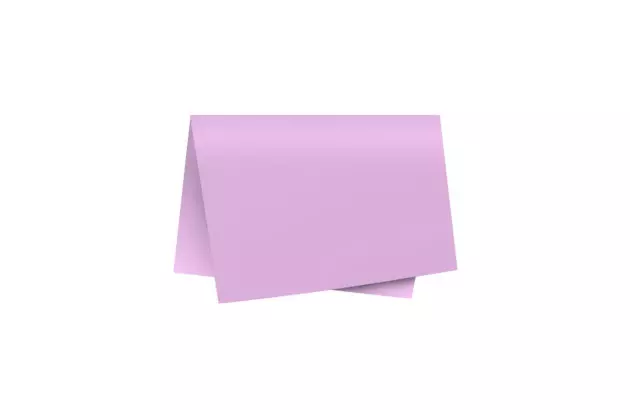 FOLHA DE PAPEL COLOR SET LISO ROSA DUPLA FACE 48X66CM