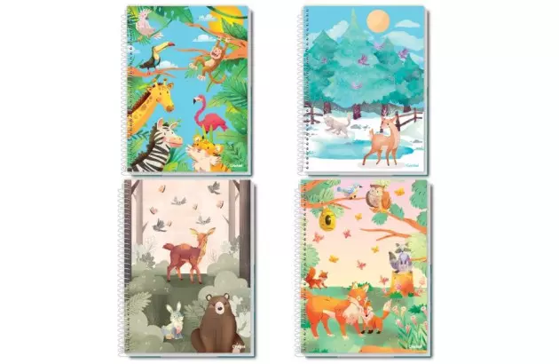 CADERNO UNIVERSITARIO 20 MATERIAS CD STATION COLORS CREDEAL  273715