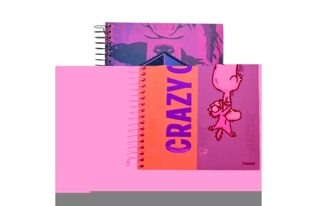 CADERNO UNIVERSITARIO 16 MATERIAS CD SIMONS CAT CREDEAL 279380