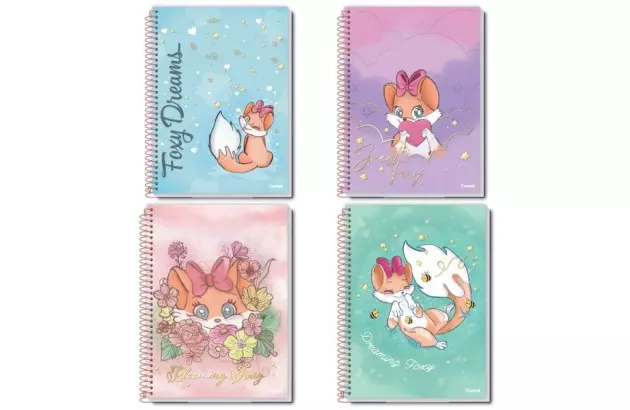 CADERNO CAPA DURA FLOW 16 MATERIAS CREDEAL