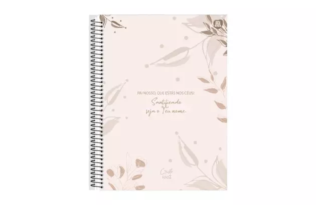 CADERNO CAPA DURA 10 MATERIAS 160 FOLHAS COLORS ROSA ANIMATIVA