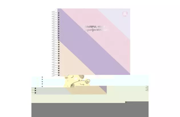 CADERNO CAPA DURA 20 MATERIAS 320 FOLHAS CRISTALES ANIMATIVA