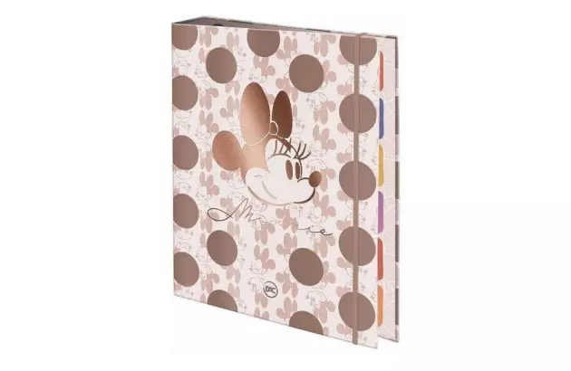 FICHARIO ARGOLADO MINNIE 48 FOLHAS