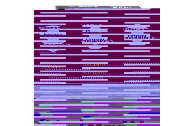 MARCADOR DE PAGINAS ADESIVO 19X76 MM 45 FOLHAS 4 BLOCOS CORES NEON - ORGANIZE SUAS TAREFAS | FRAMA