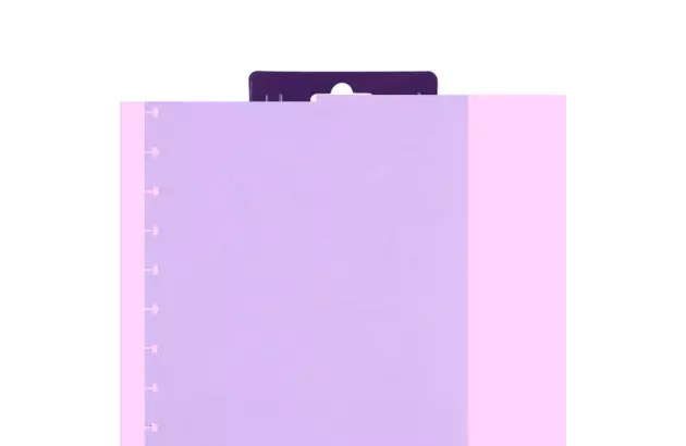 DIVISORIA CADERNO INTELIGENTE GRANDE DUO PINK