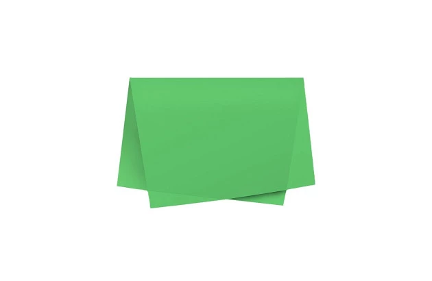 PAPEL DE SEDA VERDE BANDEIRA 48X60 CM - FOLHA